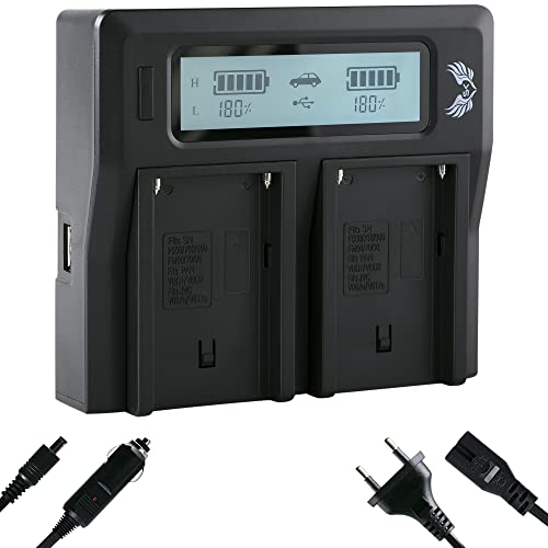 SK LCD Dual Akku Charger Ladegerät für Sony NP-F550 NP-F750 NP-F960 NP-F970 NP-F980 NP-F990 // NP-FM50 NP-FM500H // NP-QM71 NP-QM91 und weitere von skgames