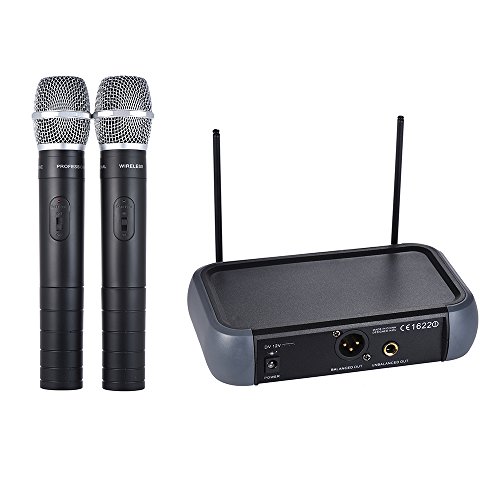 summina Wireless VHF Doppel-Kanal-Mikrofonsystem mit Eco Funktion 2 Mikrofone und 1 Empfänger Audiokabel 6,35 mm für Karaoke-Party in Familie von summina