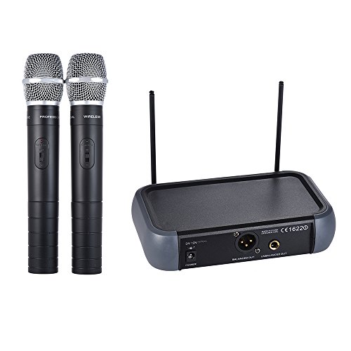 summina Kabelloses VHF-Mikrofon mit Doppelkanal mit Eco-Funktion, 2 Mikrofone und 1 Empfänger 210-280 MHz, Arbeitsabstand 40 Meter, 6,35 mm Audiokabel für Karaoke, Familienfeiern von summina