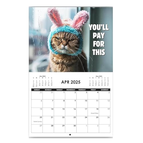 d Off Cat Kalender 2025 - Grùmpy Cat 2025 Wandkalender | Angry Cat Wandkalender 2025 | 12-Monatskalender Monatsansicht | Lustiger Tierkalender 2025 | Kreativer Katzenkalender für Zuhause, von szaluyk