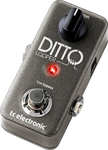 TC Electronic DITTO LOOPER Intuitives Looper-Pedal mit 5 Minuten Looping-Zeit, Analog-Dry-Through und True Bypass von t.c electronic