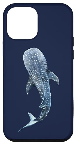 Hülle für iPhone 12 mini Walhai Hai Shark-Art Meer Ozean Haifisch Tauchen Design Hülle für iPhone 12 mini Walhai Hai Shark-Art Meer Ozean Haifisch Tauchen Design von tatia4design