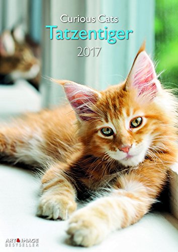 teNeues Curious Cats Art & Image Kalender Poster 2110 29,7 x 42 cm Weiß von teNeues