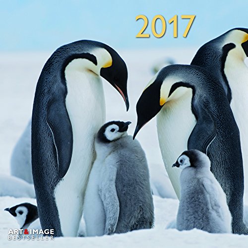 teNeues Penguins Art & Image Kalender 30 x 30 cm weiß von teNeues