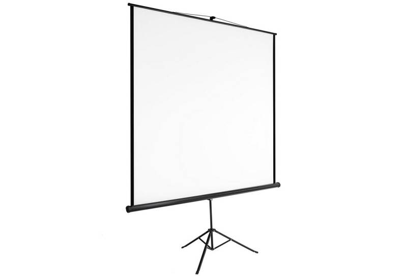 tectake Beamer-Leinwand Deckeneinbauleinwand (ausziehbar) von tectake