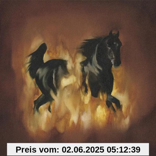 Are the Dark Horse von the Besnard Lakes