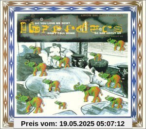 Safari Safari von the Breeders