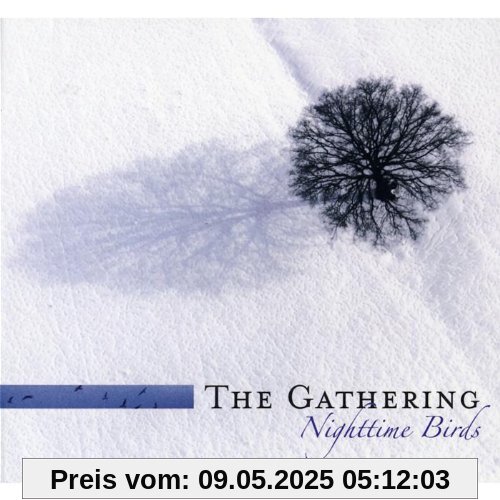 Nighttime Birds (Limited Edition) von the Gathering