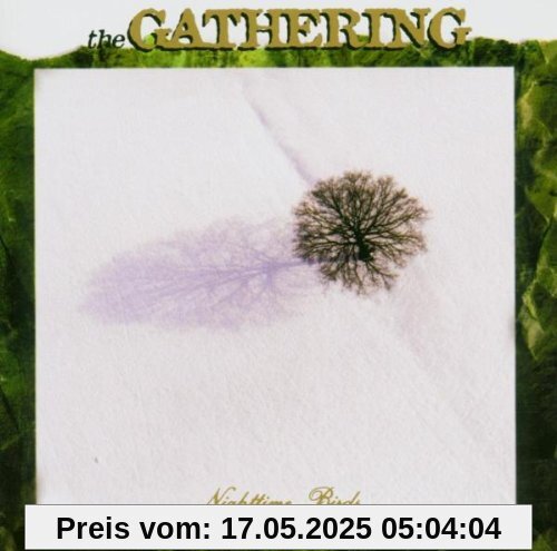 Nighttime Birds von the Gathering