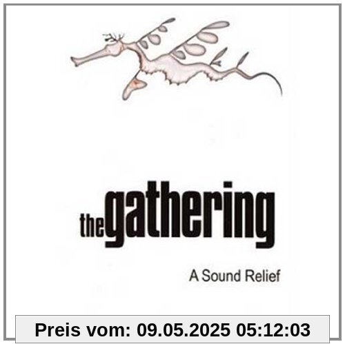 The Gathering - A Sound Relief [2 DVDs] von the Gathering