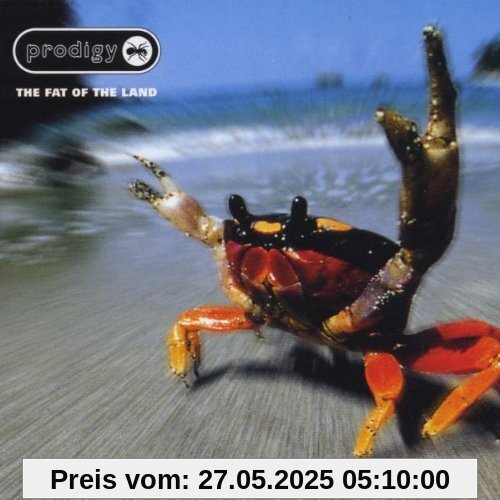The Fat of the Land von The Prodigy