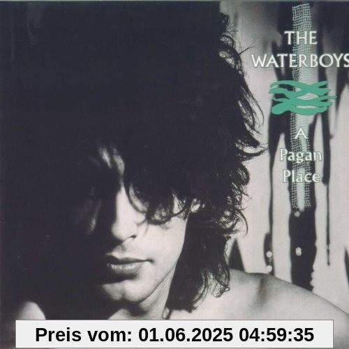 A Pagan Place von the Waterboys