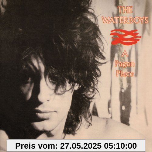 A Pagan Place A Pagan Place von the Waterboys