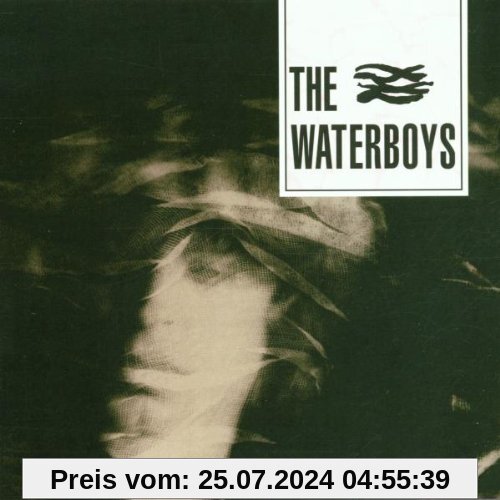 The Waterboys von the Waterboys