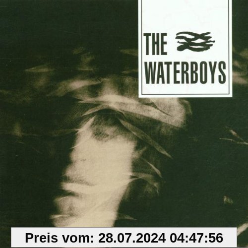The Waterboys von the Waterboys