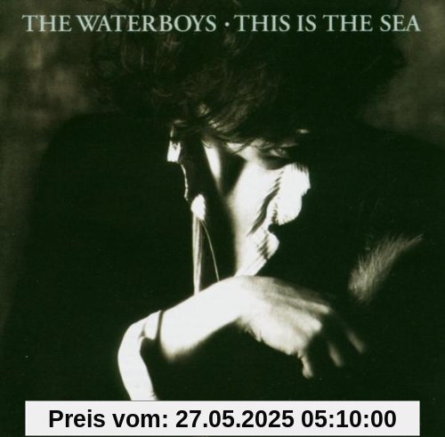 This Is the Sea-Remastered von the Waterboys