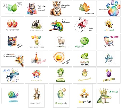 the lazy panda card company 60 Stück Wortspiel-Postkarten Ermutigung Motivierende Affirmationen – 30 verschiedene Designs für Kinder, Teenager, Studenten von the lazy panda card company