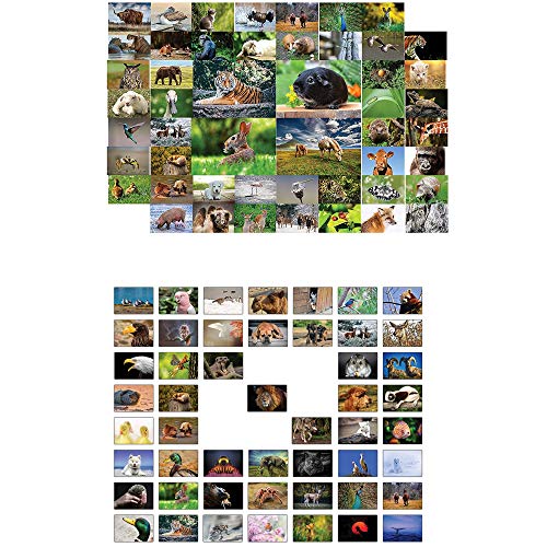 the lazy panda card company Tiere Postkarten - 100 verschiedene Tierpostkarten-set ideal für Sammler und Postcrossing von the lazy panda card company