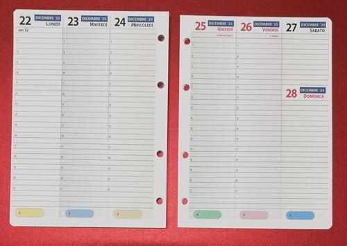 Ersatzgröße A5 15 x 21 cm für Ordner mit 4 Ringen (Wochenkalender mit Stundenplänen) mit 4 Löchern von tipome.com
