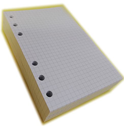 tipome.com Nachfüllpackung 200 Blatt elfenbeinfarbenes Papier kariert - Format A6 Personal 10 x 17 cm für Terminplaner 6 Ringe, Nachfüllpackung 200 karierte Blätter, Format A6 Personal 10,5 x 16 cm von tipome.com