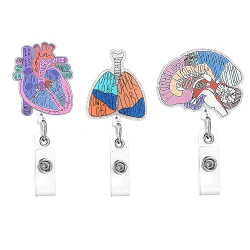 Niedliche einziehbare Badge-Halter: Gehirn, Herz, Lunge, Filzrollen mit Krokodilklemme, für Lehrer, Studenten, Schule, Büro von tooloflife