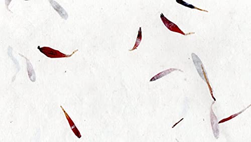 paperfreak: Couverts AsterblütenPapier > Liebesbriefpapier < handgeschöpft DinLang 12 Stück-mit einseitigem Büttenrand- Büttenpapier von tribal paper bhutanarts