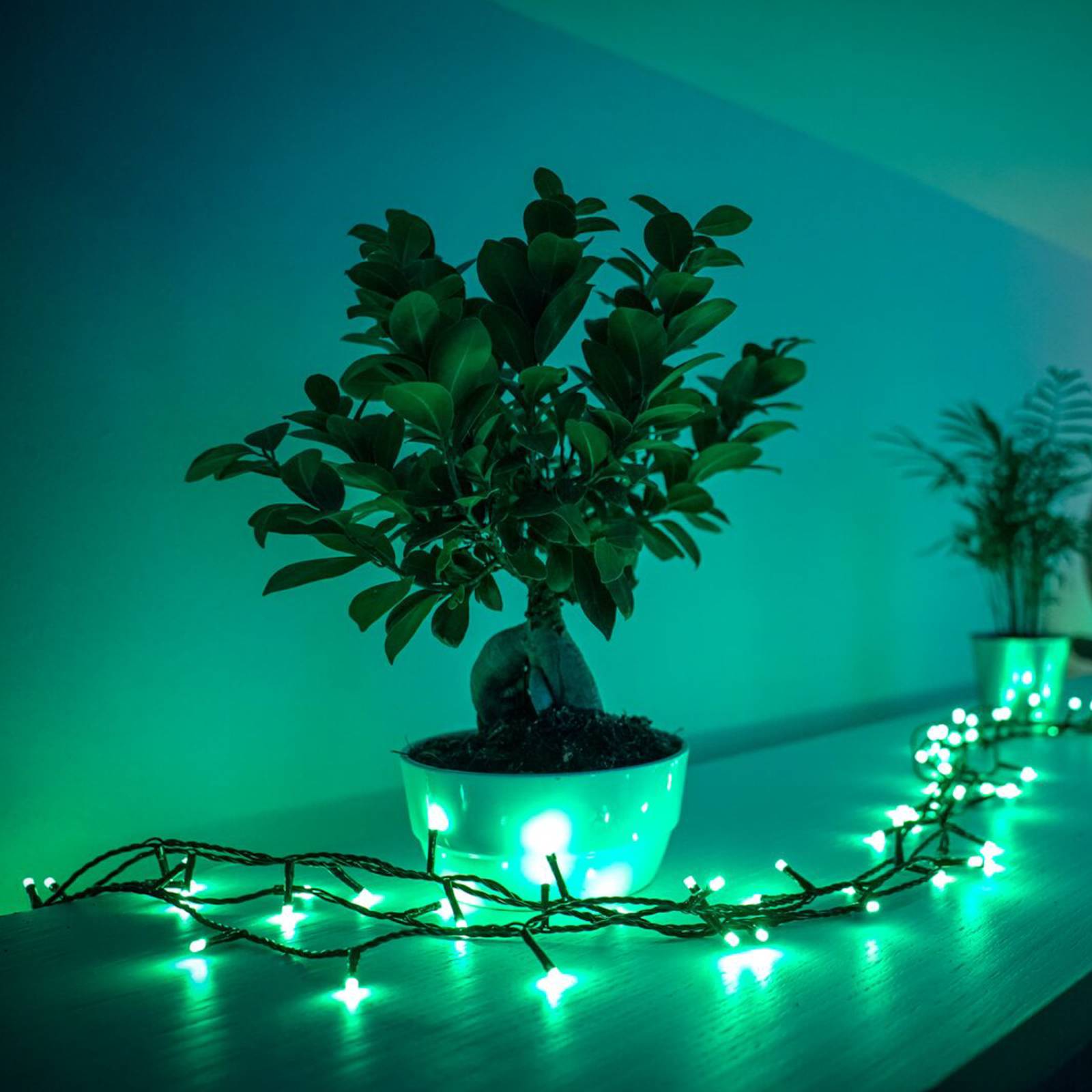 Lichterkette Twinkly RGB, schwarz, 250-flammig 20m Lichterkette Twinkly RGB, schwarz, 250-flammig 20m von twinkly