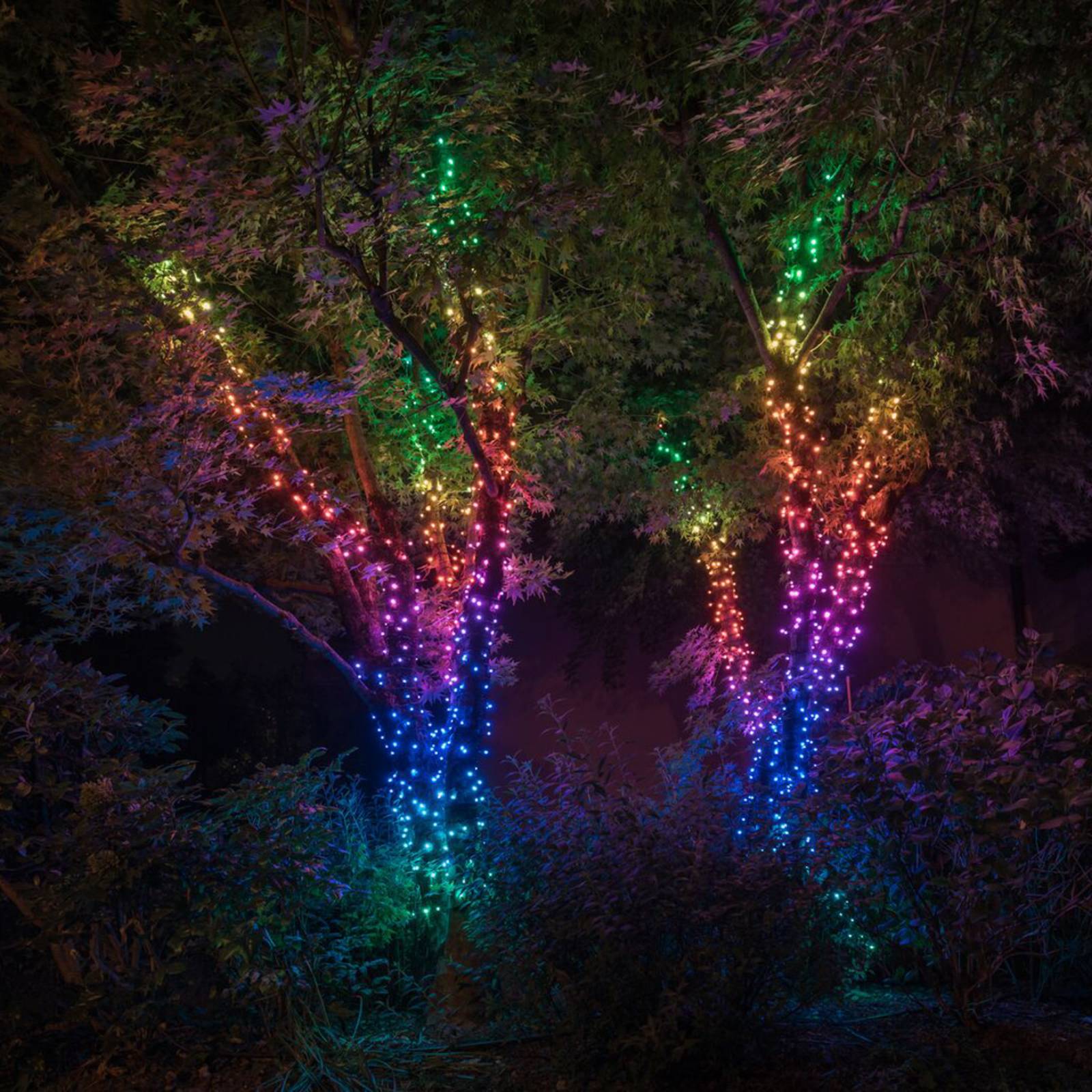 Lichterkette Twinkly RGB, schwarz, 400-flammig 32m Lichterkette Twinkly RGB, schwarz, 400-flammig 32m von twinkly