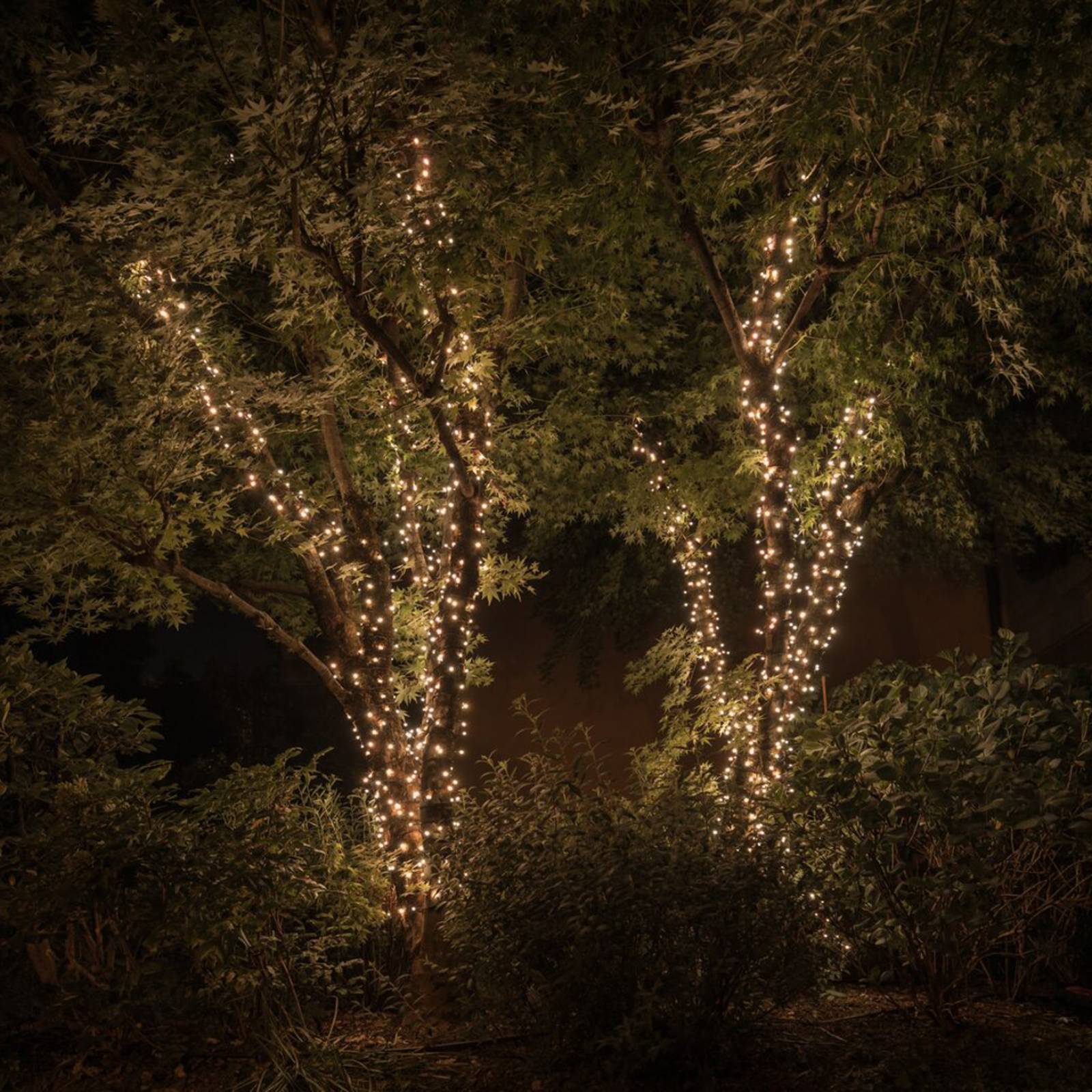 Lichterkette Twinkly RGBW, 250-fl. 20m transparent Lichterkette Twinkly RGBW, 250-fl. 20m transparent von twinkly