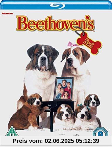 Beethoven's 2nd [Blu-ray] [UK Import] von unbekannt