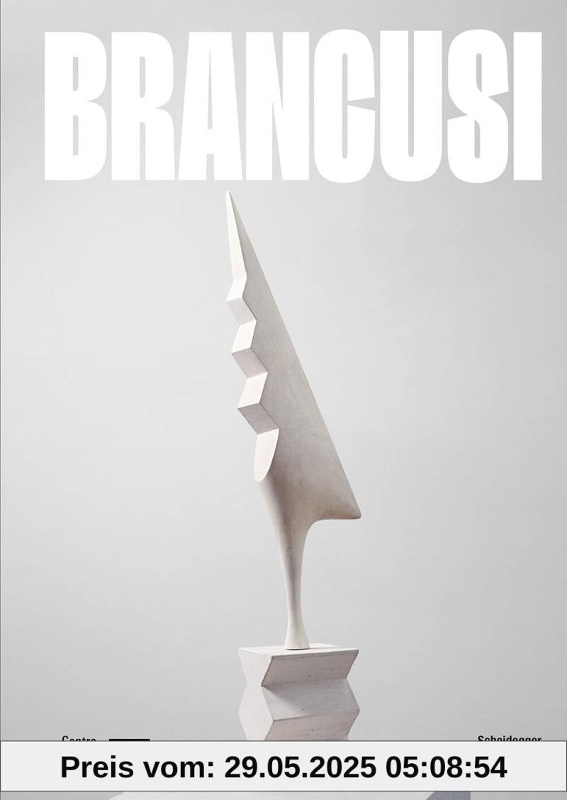 Brancusi von unbekannt