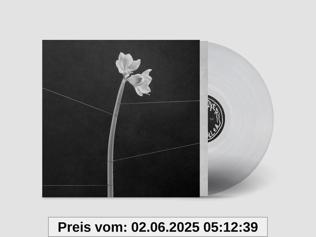 Dreamweaver (Transparent Crystal Clear Lp+Mp3) [Vinyl LP] von unbekannt