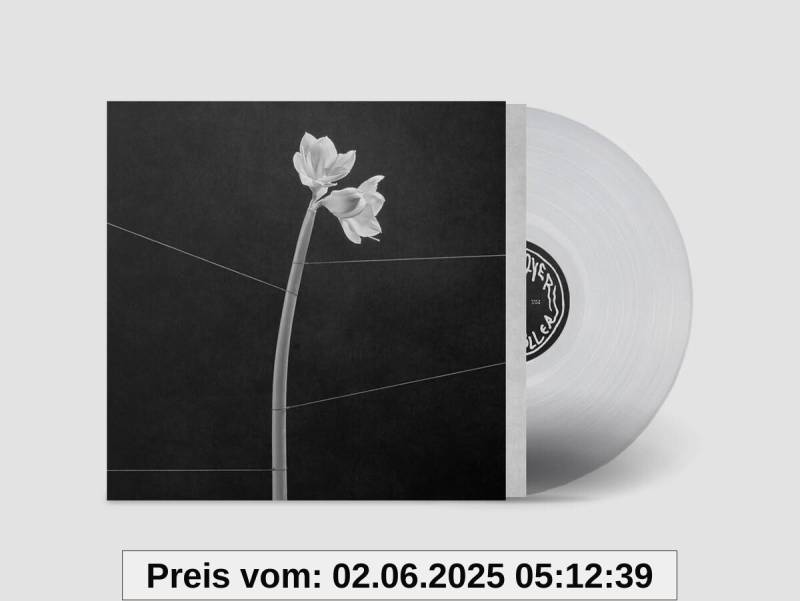 Dreamweaver (Transparent Crystal Clear Lp+Mp3) [Vinyl LP] von unbekannt