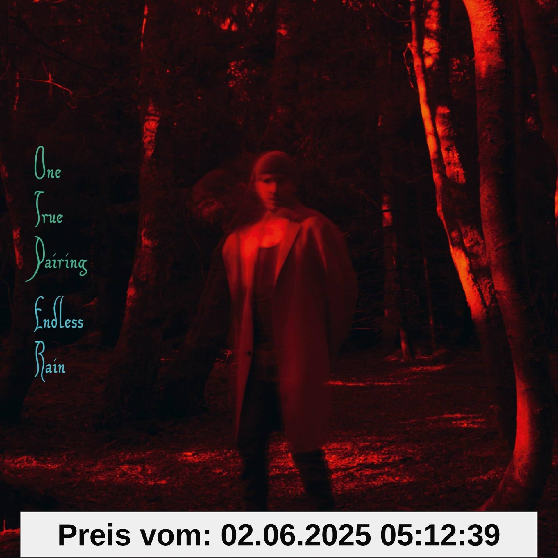 Endless Rain (Mini-Gatefold) von unbekannt