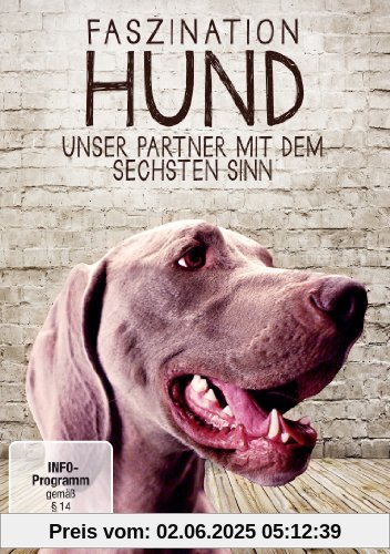 Faszination Hund - Unser Partner mit dem sechsten Sinn von unbekannt