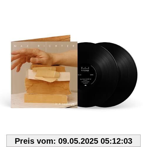In a Landscape [Vinyl LP] von unbekannt
