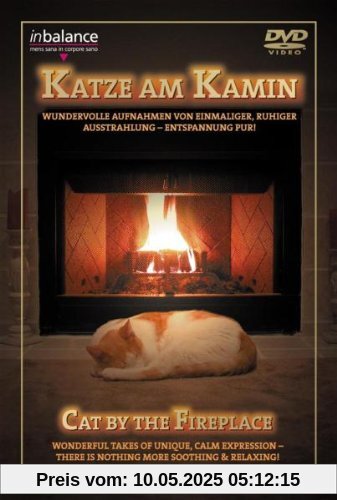 Katze am Kamin Katze am Kamin von unbekannt