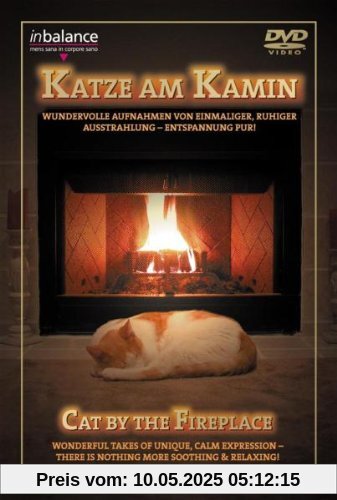 Katze am Kamin von unbekannt