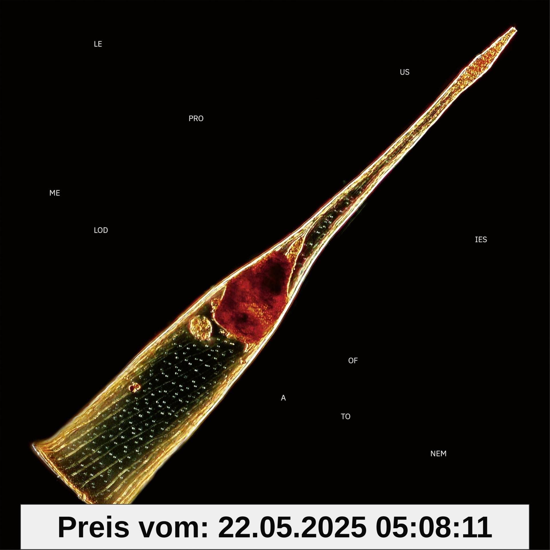 Melodies of Atonement Melodies of Atonement von unbekannt