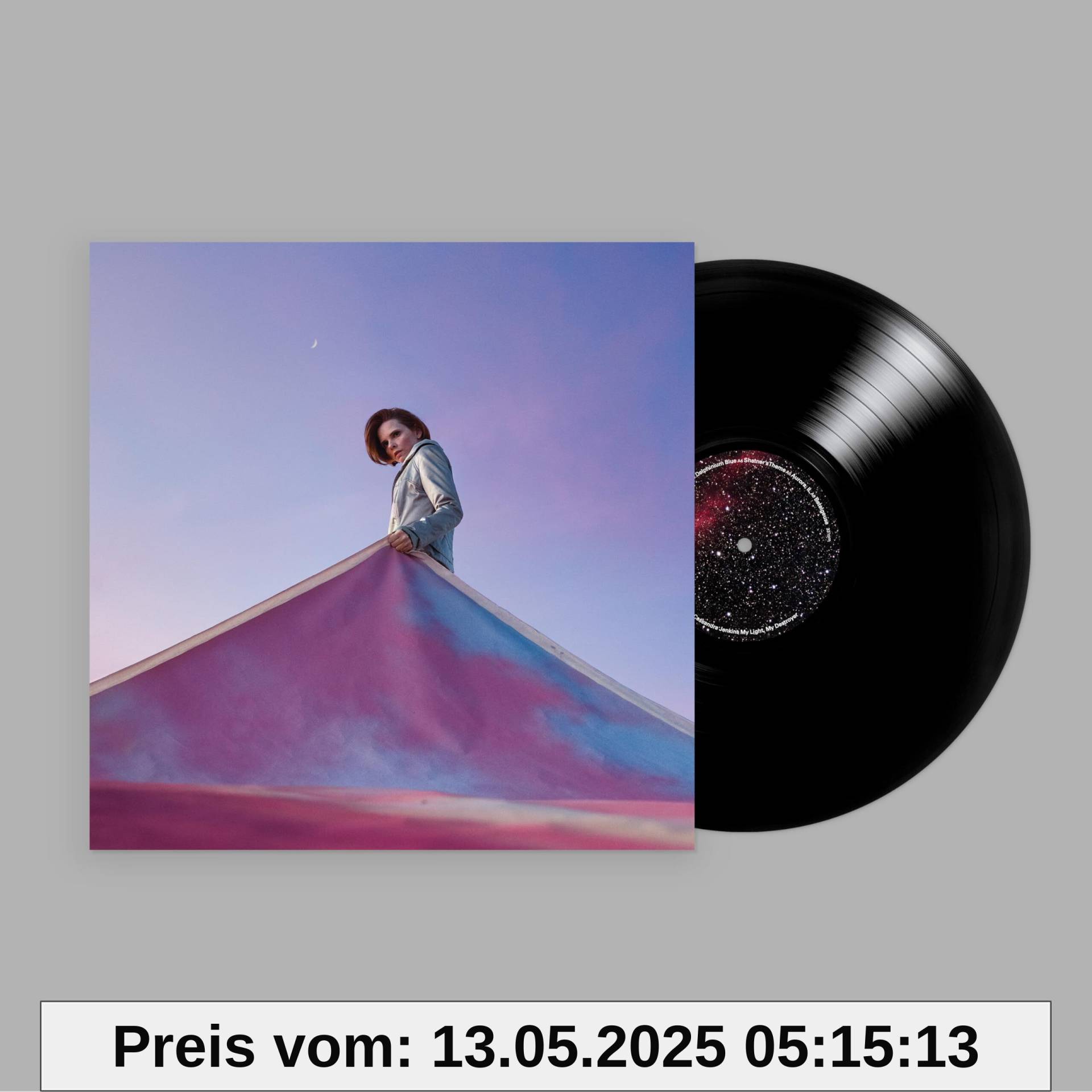 My Light, My Destroyer [Vinyl LP] von unbekannt