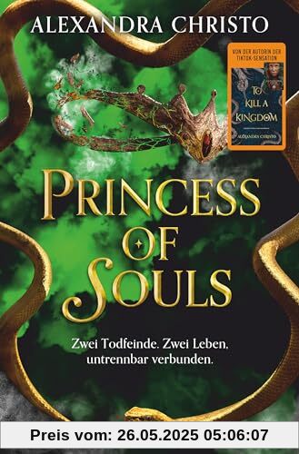 Princess of Souls: Mitreißende Enemies-to-Lovers-Romantasy der TikTok-Erfolgsautorin von ›To Kill a Kingdom‹ | Hochwertig veredelt Princess of Souls: Mitreißende Enemies-to-Lovers-Romantasy der TikTok-Erfolgsautorin von ›To Kill a Kingdom‹ | Hochwertig veredelt von unbekannt