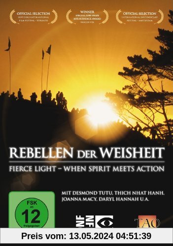Rebellen der Weisheit: Fierce Light - When Spirit meets Action von unbekannt