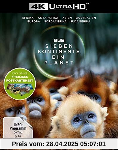 Sieben Kontinente - Ein Planet (4K UHD). Limited Edition mit Postkarten-Set - (exklusiv bei Amazon.de mit 7-teiligem Postkarten-Set) [Blu-ray] von unbekannt