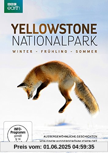 Yellowstone Nationalpark: Winter - Frühling - Sommer von unbekannt