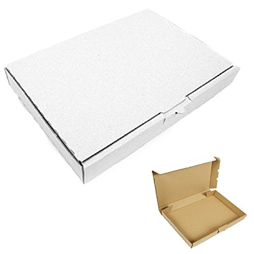 10 Maxibriefkartons Außenmaß 240x160x45mm | Innenmaß: 230 x 155 x 41 mm Weiss Versand Post Faltschachtel MB-3 Karton von verpacking