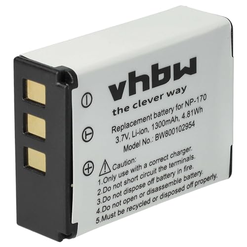 vhbw 1x Akku kompatibel mit Medion Life X47023, MD86423, MD86695, P47011 Videokamera Camcorder (1300 mAh, 3,7 V, Li-Ion) von vhbw