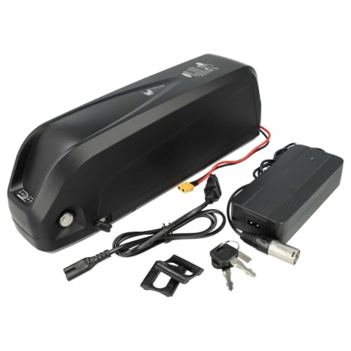 vhbw Akku für E-Bike Elektrofahrrad mit 250 W - 1000 W Motoren (20 Ah, 52 V, Li-Ion) + Ladegerät - Schwarz von vhbw
