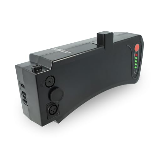 vhbw Akku kompatibel mit Prophete 52466-0111, 52467-0111, 52567-0111, 52456-0111, 52457-0111 E-Bike Elektrofahrrad (10,4 Ah, 36 V, Li-Ion) von vhbw