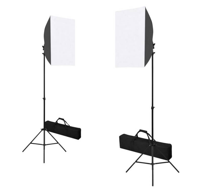 vidaXL Fotohintergrund Professionelle Studioleuchten 2 Stk 40 x 60 cm Stahl Schwarz von vidaXL