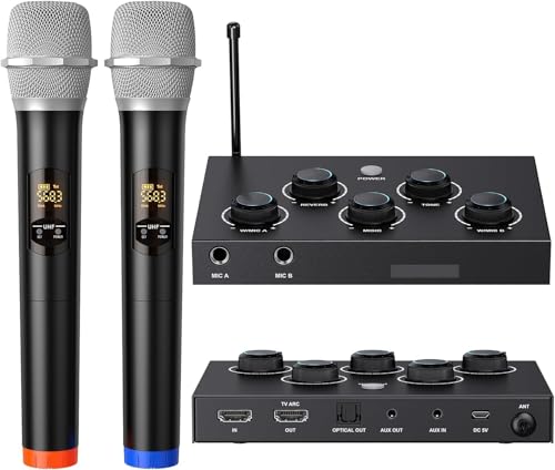 Drahtloses Mikrofonsystem, UHF Karaoke-Mikrofon, Drahtloses Mikrofon für Karaoke, Hochzeit, Roadshow, Konferenz, Party, Komplettes Karaoke-Set mit drahtlosem Mikrofon von voijump